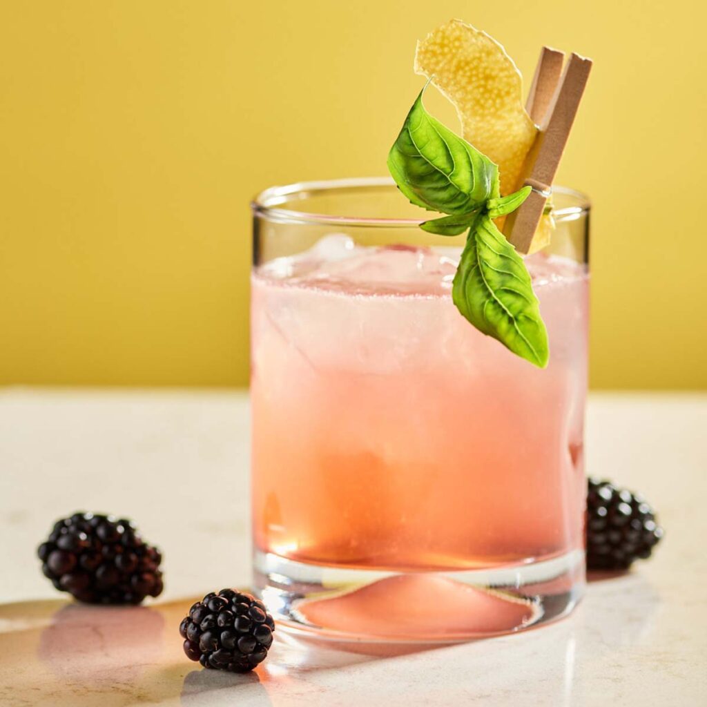 LEROUX® Jeżynówka Polish Blackberry Flavored Brandy • Leroux