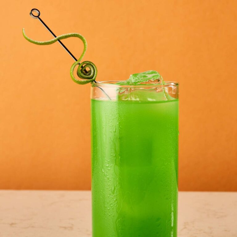 Leroux® Premium Melon Liqueur • Leroux